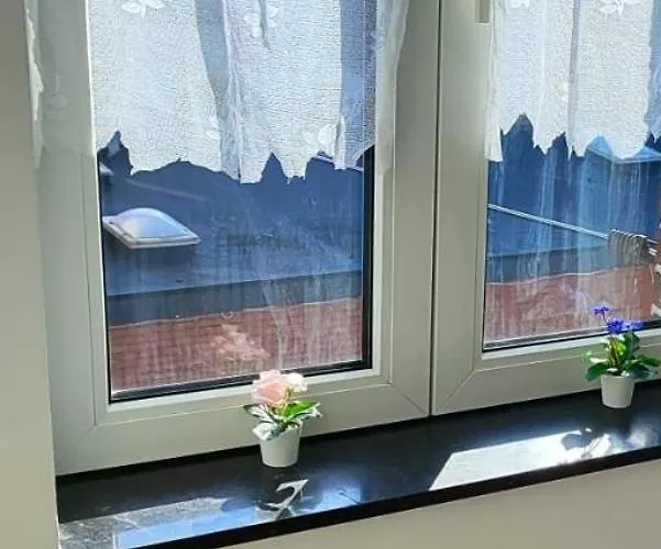 Cocon Unique Laveu Daire *